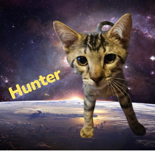 *HUNTER