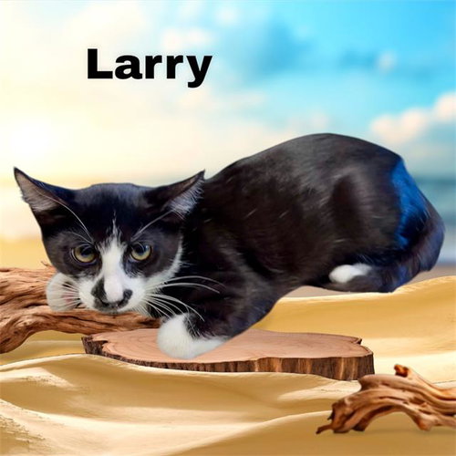 *Larry