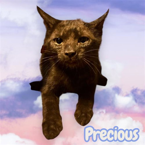 *Precious