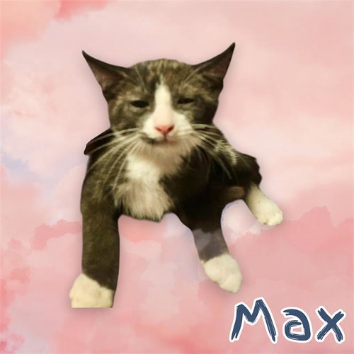 *Max