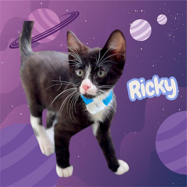 Ricky