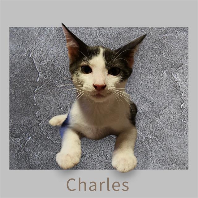 Charles