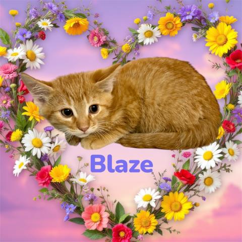 Blaze