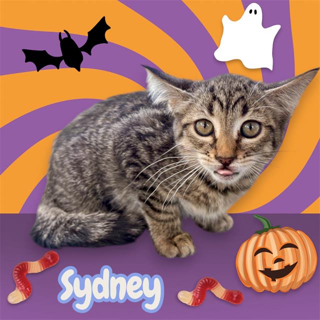 Sydney