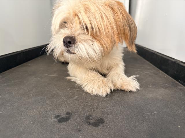 Max