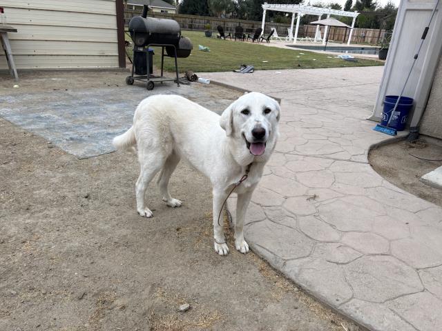 Max