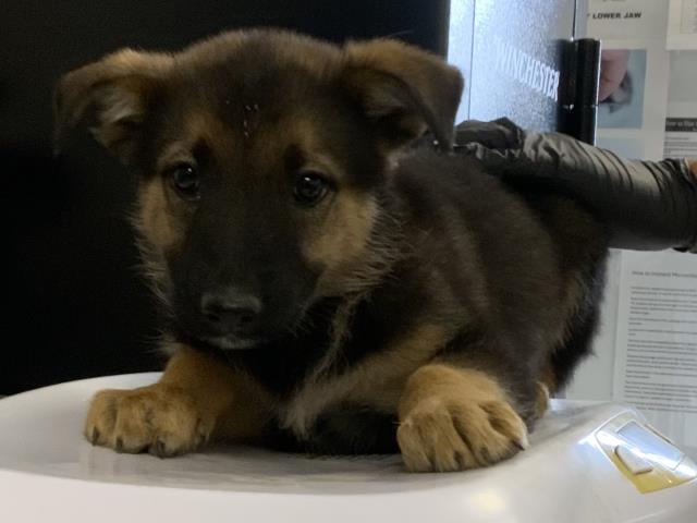Max