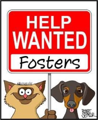 FOSTERS NEEDED!!