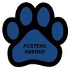 FOSTERS NEEDED!! - Photo 3