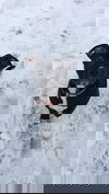 Tyson