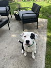 Petey