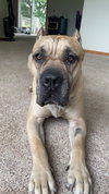 George - Photo 2