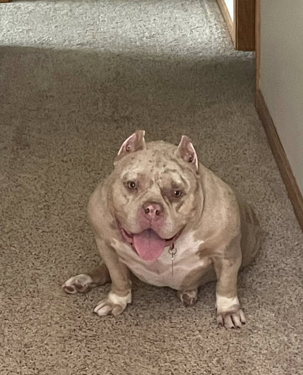 Luna