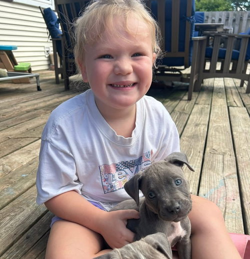 picture of the dog needing adoption
