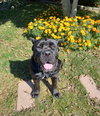 Gia - Photo 1