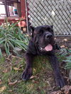 Gia - Photo 3