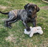 Nora - Photo 4