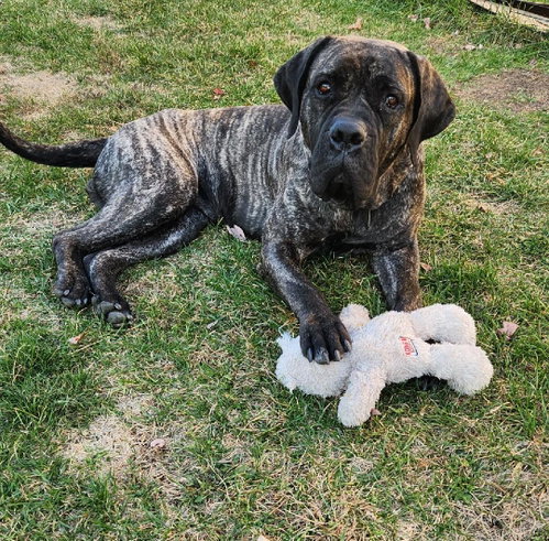 Photo of Nora