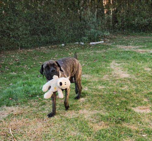 Photo of Nora