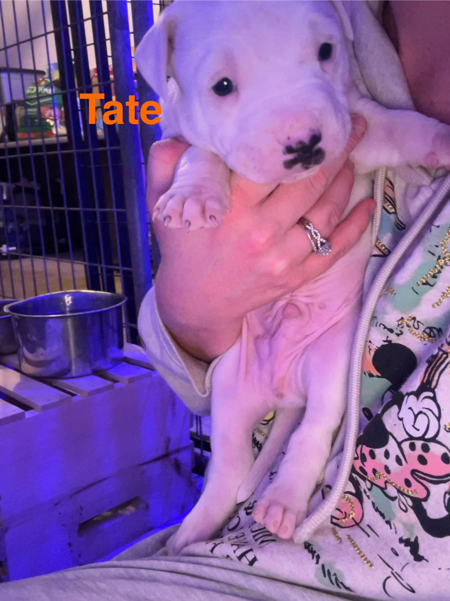 Tate