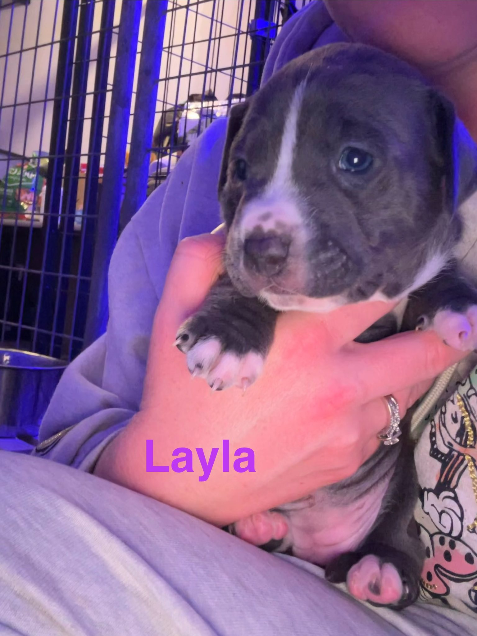 Layla