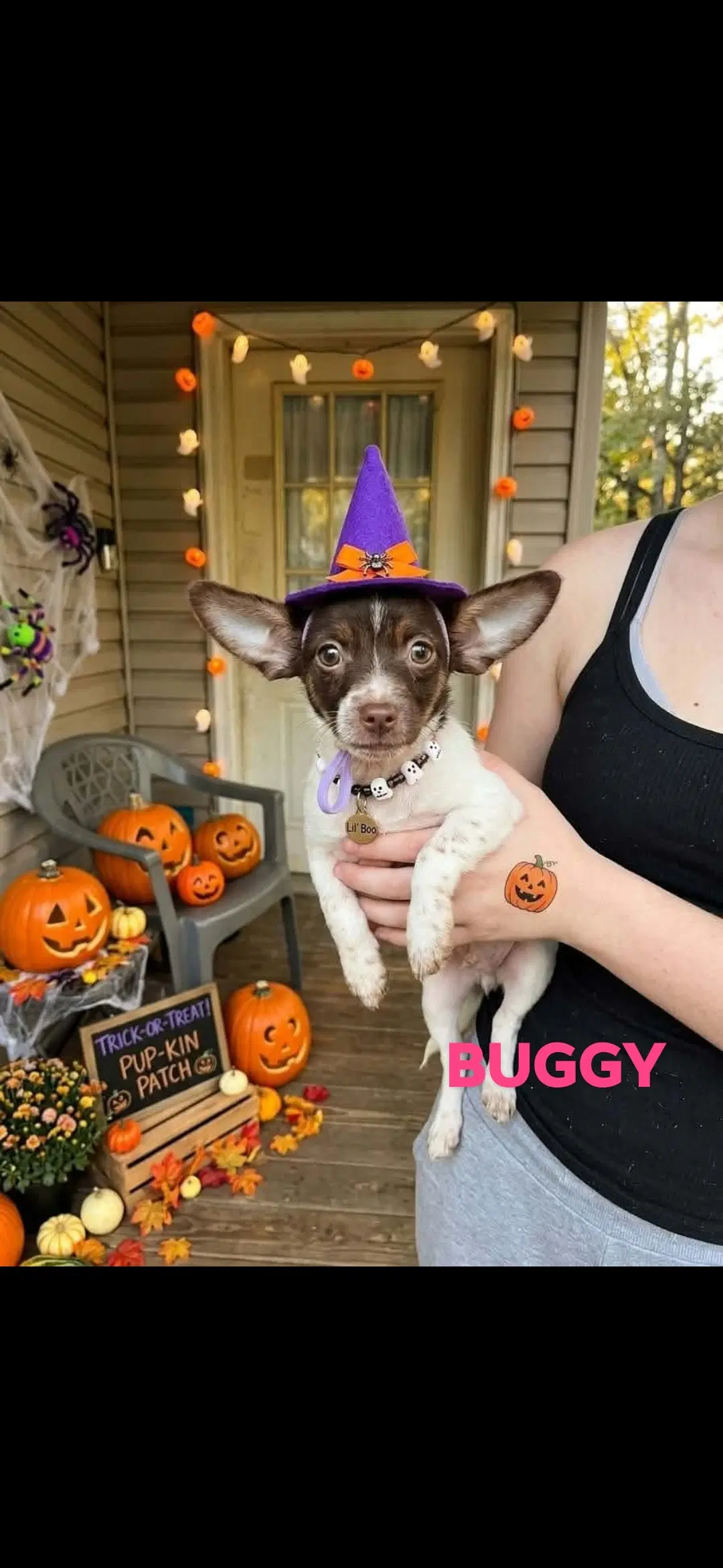 Sallyoogiebuggy image 3