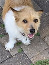 Sophie