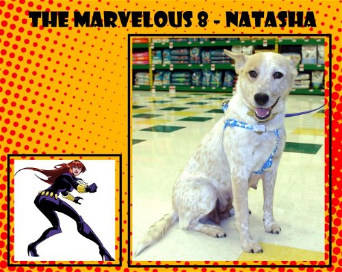 Natasha - of the Marvelous 8