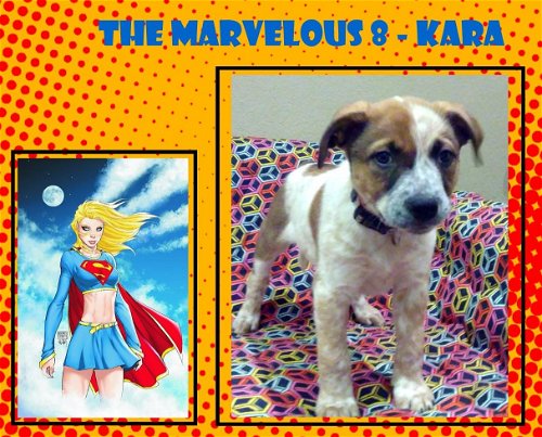 Kara - of the Marvelous 8
