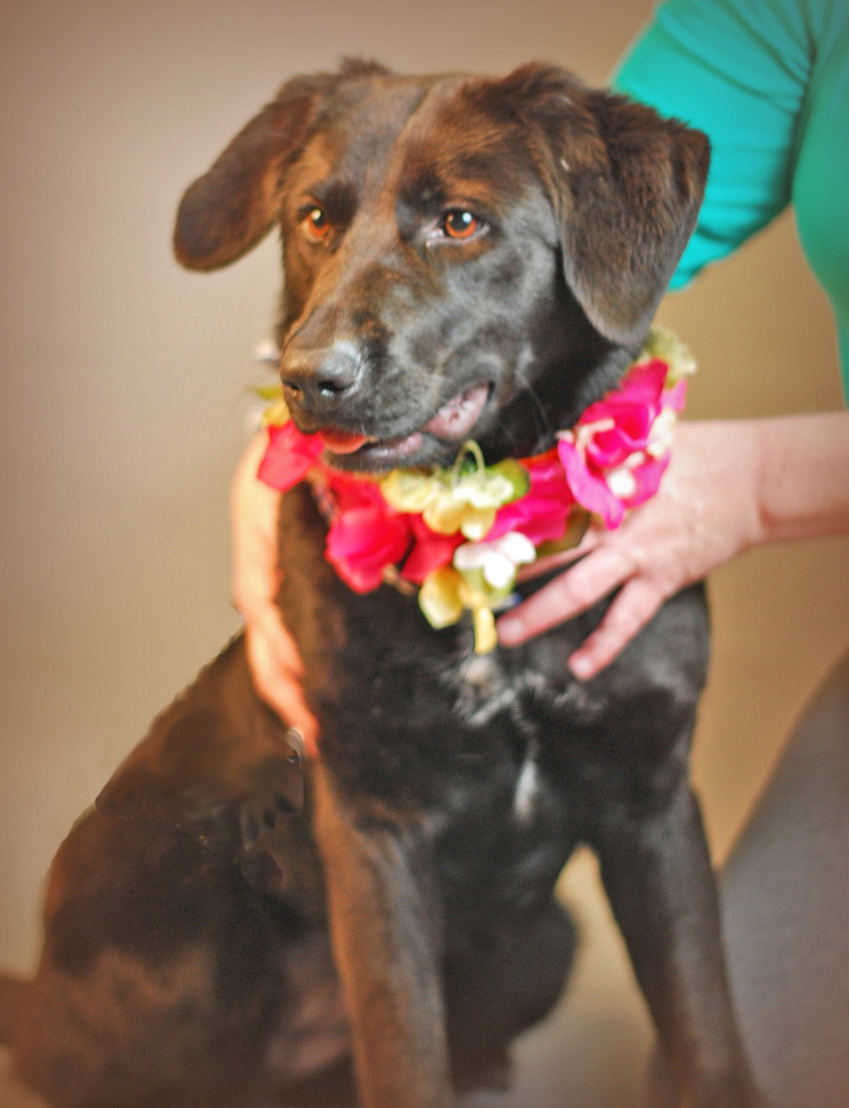 Sadie Image
