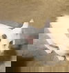 Casper
