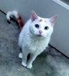 Abby