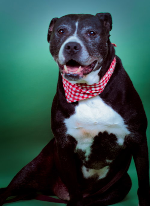 Photo 3 of Farley