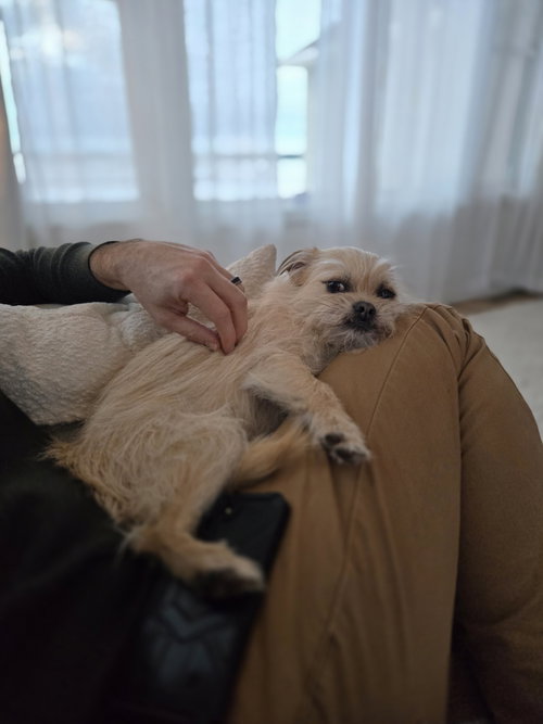 Photo 2 of Hazel
