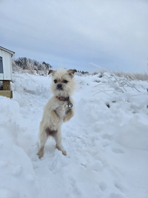 Photo 4 of Hazel
