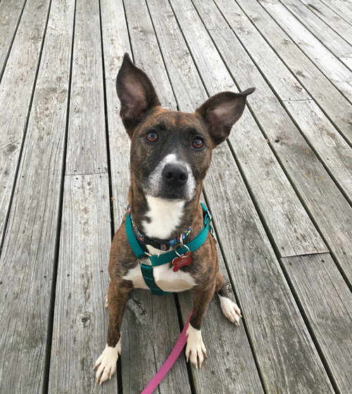 Maggie