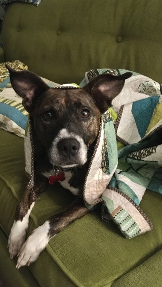 Maggie