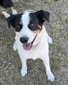 Corey- ADOPTION IN PROCESS - Photo 1
