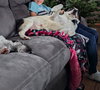 Corey- ADOPTION IN PROCESS - Photo 4