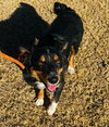 Hilary Duff- ADOPTION IN PROCESS - Photo 2