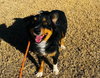 Hilary Duff- ADOPTION IN PROCESS - Photo 4