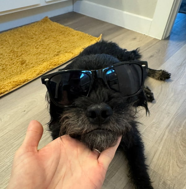Texas Ranger- ADOPTION IN PROCESS