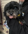 Rex - Photo 4