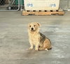 Ruth - ADOPTION IN PROCESS - Photo 1