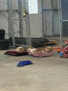 Ruth - ADOPTION IN PROCESS - Photo 2