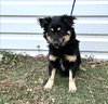 Grant - ADOPTION IN PROCESS - Photo 2