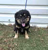 Grant - ADOPTION IN PROCESS - Photo 3