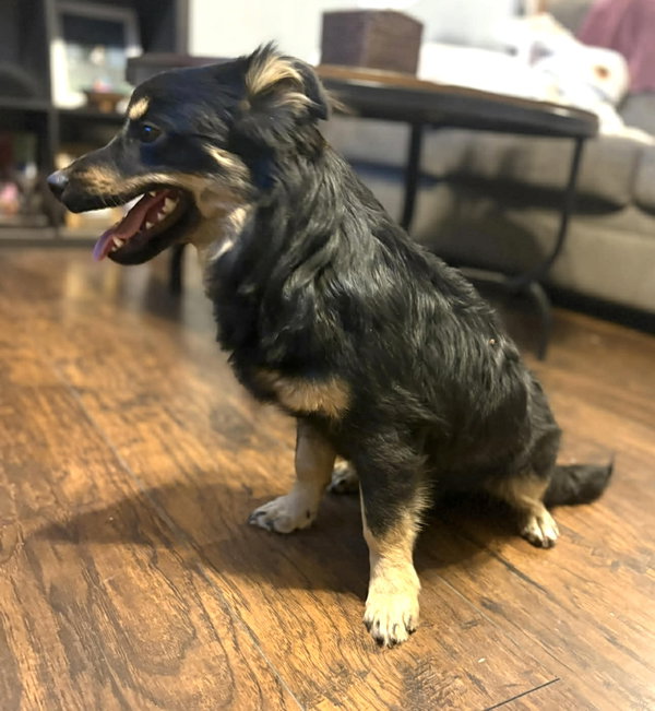 Grant - ADOPTION IN PROCESS