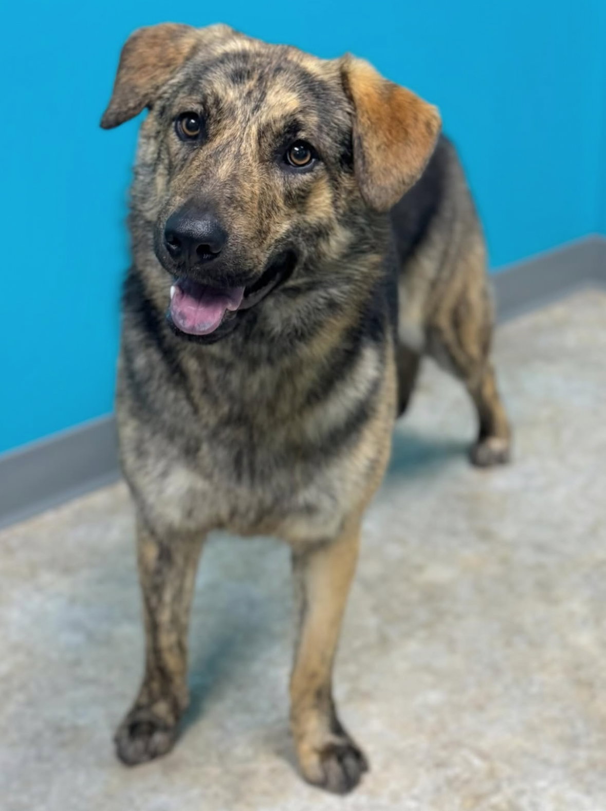 Luna