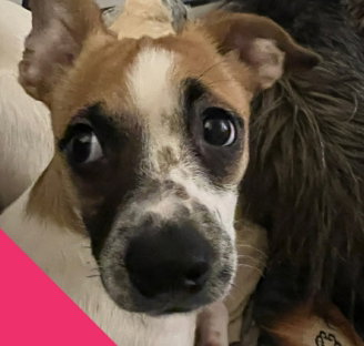 Winnie